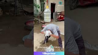 This DIY Bottle Shower is Peak Resourcefulness!  Shampoo Time! #diylifehack #funny #outdoorshower