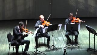 Pavel Karmanov - String quaREtet - The Moscow Virtuosi