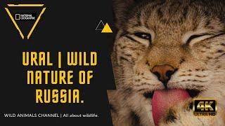 Ural | Wild Nature of Russia | National Geographic.