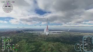 Microsoft Flight Simulator 2020 - flaps problem