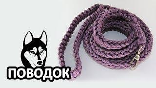 Поводок из паракорда (Paracord  leash for dog)