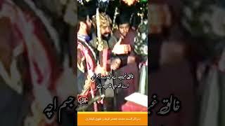 قصیدہ یا محبوب دے رستے لگ نہیں- مقطع- جعفر میڈا پاک سخی ہے جواللہ دا نائب ہے