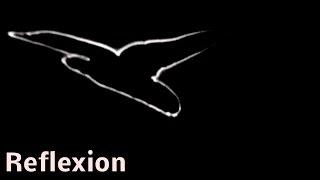 Workshop shadow theatre #10: Reflexions