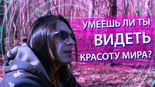 Умеешь ли ты видеть красоту мира?