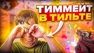 ТИМЕЙТ В ЖЕСТКОМ ТИЛЬТЕ… / демка с голосом