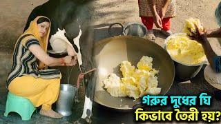 গরুর দুধ থেকে ঘি কিভাবে তৈরী হয় ? | Ghee | Rohan News BD