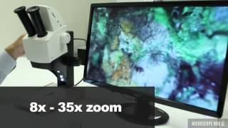 EZ4HD Educational Stereo Microscope Overview