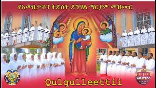 "Qulqulleetti " ZwT||ዜማ ወጥበብ ዘማኅበረ ቅዱሳን (Official Video)