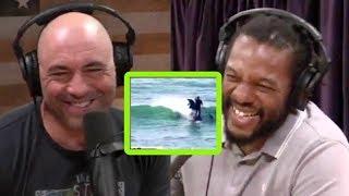 Did a Dolphin Hit This Paddleboarder on Purpose? | Joe Rogan and Herb Dean