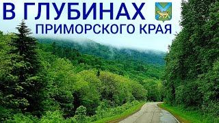 Как живёт Приморский край? | Родина вертолётов и эталон природы