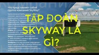 Tập đoàn Skyway là gì?