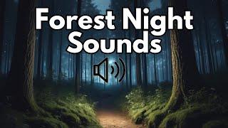 Forest Night Ambience Sound | No Copyright