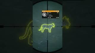 MAX SCORING SUPER RARE TIGER! #thehuntercallofthewild #cotw #sundarpatan #callofthewildgameplay