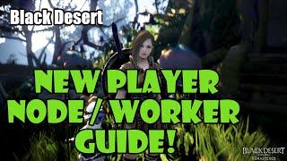 [Black Desert] New Player Node and Worker Guide | AFK Income