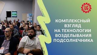 Комплексный взгляд на технологии возделывания подсолнечника