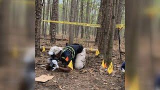 LOCAL 3 INVESTIGATES: A deeper look at how the GBI investigates cold cases
