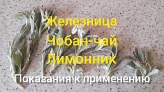 Лимонник Крымский, Чобан-чай, Железница- названия одного и того же полезного чая