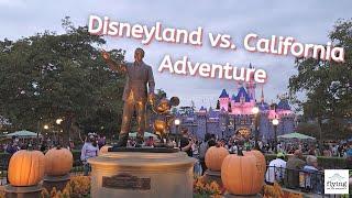 Disneyland vs. California Adventure: Which Park Should You Visit?