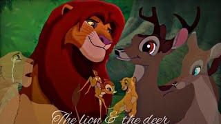 The lion & the deer {"Simba x Bambi"}