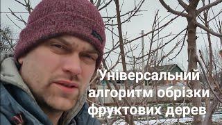 Обрізка черешні. Правила та алгоритми обрізки фруктових дерев.