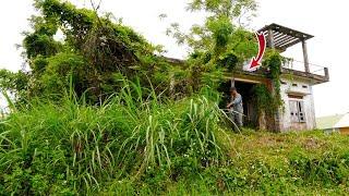 OVERGROWN grass mowing cut COVERING the house abandoned WEIRD IDEA to create an BONSAI on the roof