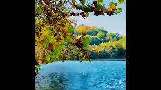 Shenandoah River