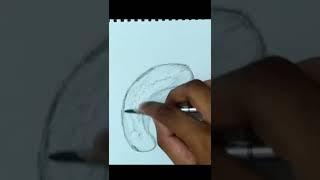 #shorts Object Drawing