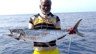 Slow Trolling Monster Kingfish Catching at OffShore - Red Grouper Fish