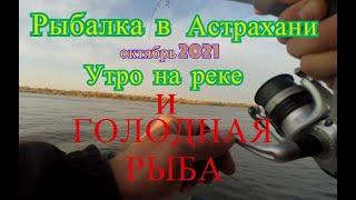 Рыбалка в Астрахани Октябрь 2021 , утренний клев судака