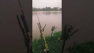 REUPLOUD SPOT MANCING DESA ULAK KEMAHANG,PALEMBANG SUMATERA SELATAN @damsir10