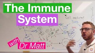 The Immune System: Overview