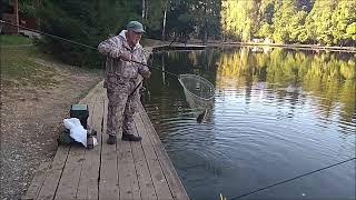 Утренний обзор с нижнего водоёма. Клёвое место, Лосиный остров.