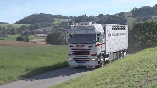 Anicom: Neue Wege im Tiertransport