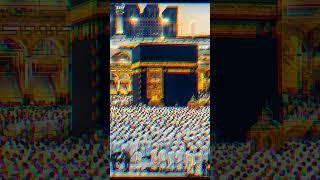 Islamic status, Islamic status on Muslim, 4K Islamic status, #shortvideoThe  Light of Islam #islamic