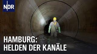 Hamburgs Unterwelt: Arbeiten unter der Stadt | Die Nordreportage | NDR Doku