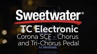 TC Electronic Corona SCF Chorus and Tri Chorus Pedal Review