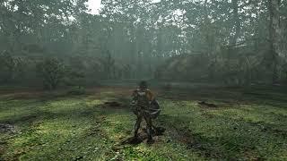 Monster Hunter - Forest and Hills/Verdant Hills - Area 10 Ambiance