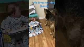 #baby #dog #babyshorts #dogshorts #viral #trending #shorts #short #shortvideo #trendingshorts