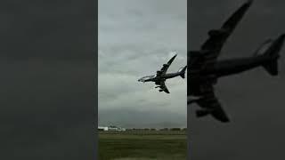 Plane crashes animation vs real #aviation #airlines #planecrash #flight #подпишись  #shorts