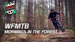 MTB - Mornings in the forest 