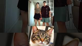Fun  #cat #memes #funny #trending
