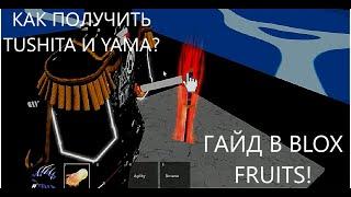 [BLOX FRUITS] КАК ПОЛУЧИТЬ ЯМА В БЛОКС ФРУТС, КАК ПОЛУЧИТЬ ТУШИТА В БЛОКС ФРУТС ГАЙД!