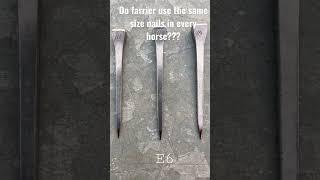 Do farriers use the same size nails in every horse ?  #learning #horse #farrier