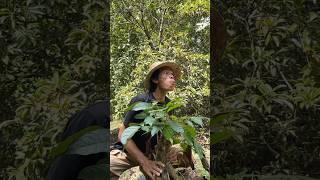 masteran burung memes viral funny moments #funnyvideo