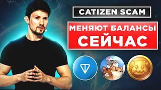 ПРЯМО СЕЙЧАС ФИНАЛЬНОЕ ОБНОВЛЕНИЕ! Спешите забрать токены Hamster Kombat и Catizen, рост Toncoin