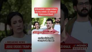 Judge orders Trump admin. to release Mahmoud Khalil