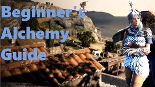 Beginner's Alchemy Guide   Black Desert Online BDO 2020 (Alchemy Ep.1)