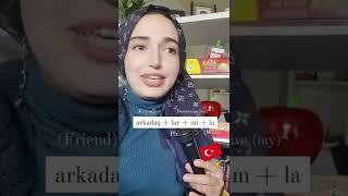 Korean  & Turkish  same language family? 