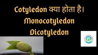 What is cotyledon | types of Cotyledon | science learning academy  by Neha Ma'am