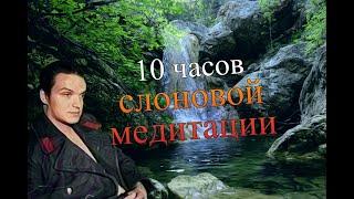 Зеленая вода: Слоновья медитация. 10 часов Зеленый слоник. Фоновый звук воды.